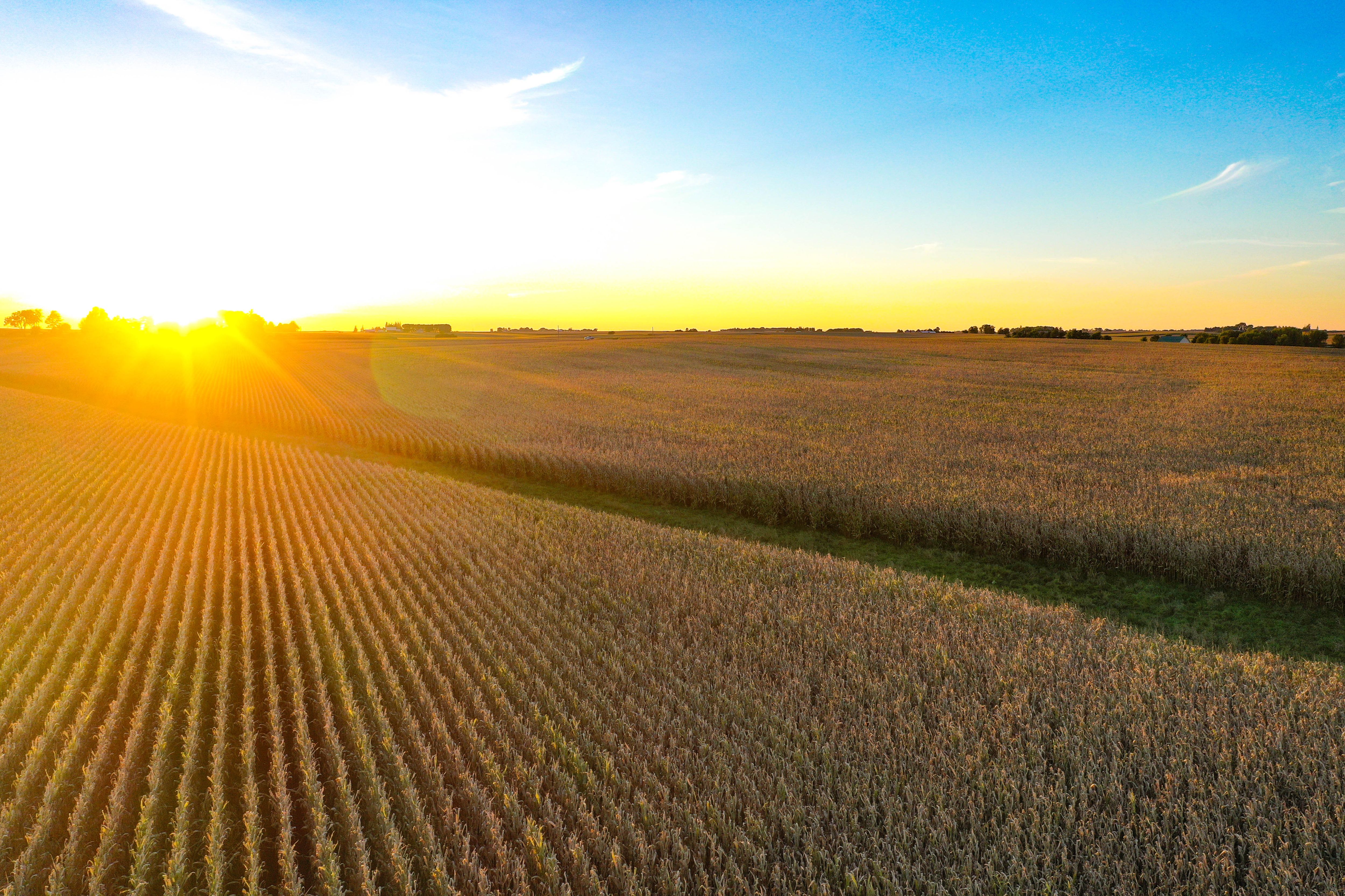 Listing Photo: 25-Butler County Land For Sale